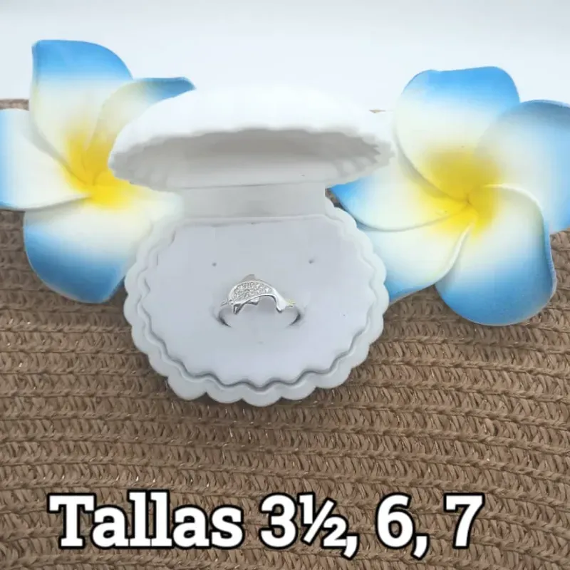 Anillo sencillo 