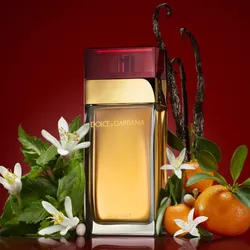 Perfume DOLCE & GABBANA