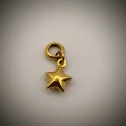 Dije Original 14K en relieve forma de estrella
