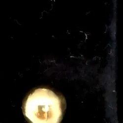 Esclava De Bola Torcida Exclusiva