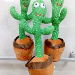 Cactus bailarín