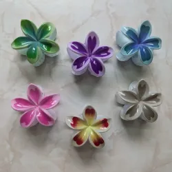 Pellizcos 