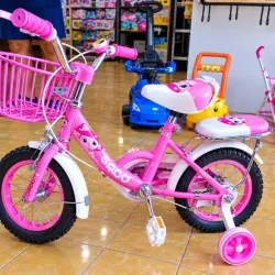 Bicicleta medida 12