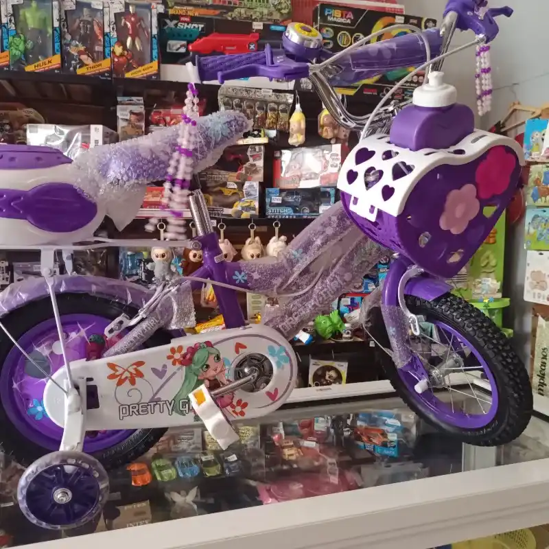 Bicicleta medida 12