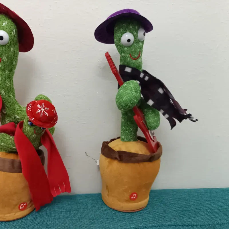 Cactus bailarín 