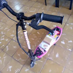 Patineta eléctrica