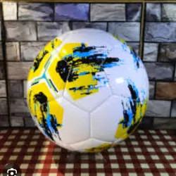 Pelota de voleibol