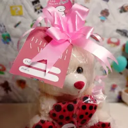 Peluche con corazón 