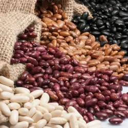 Frijoles