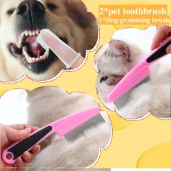 Set de peine + cepillo de dientes