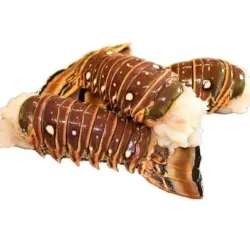 Cola de langosta 🦞