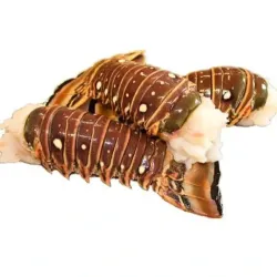 Cola de langosta 🦞