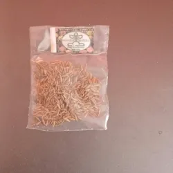 Comino en Grano