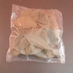 Hoja de laurel