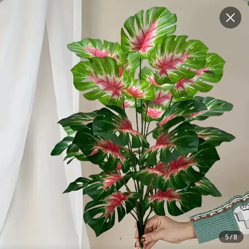 Árbol de Bambú/ Rojo explosivo, espalda de tortuga. 