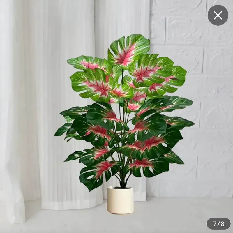 Árbol de Bambú/ Rojo explosivo, espalda de tortuga. 