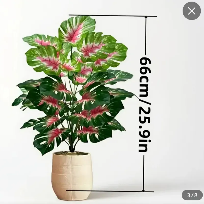 Árbol de Bambú/ Rojo explosivo, espalda de tortuga. 