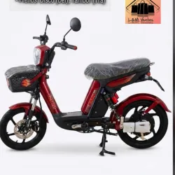 Bicicleta Eléctrica
