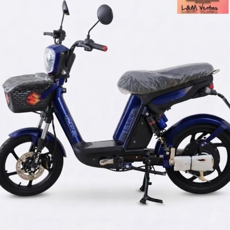 Bicicleta Eléctrica