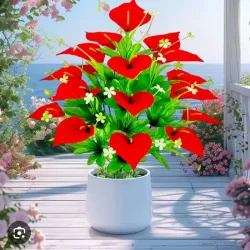 Lirios Rojos