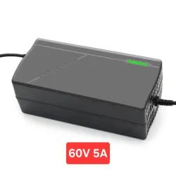 Cargador 60V 5A