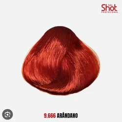 Arándano