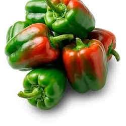 AGREGADO DE AJÍ PIMIENTO