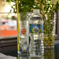 Agua Natural 500ml