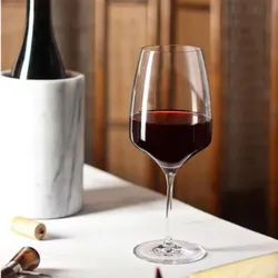 Copa de vino Sangre de Toro