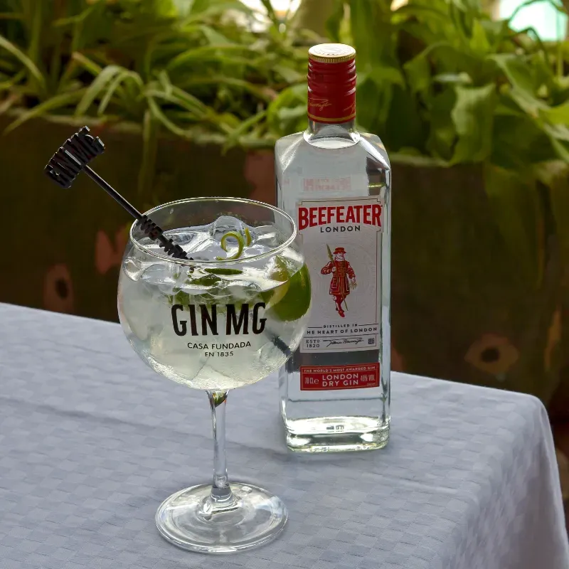 Gin Tonic (Beefeter)