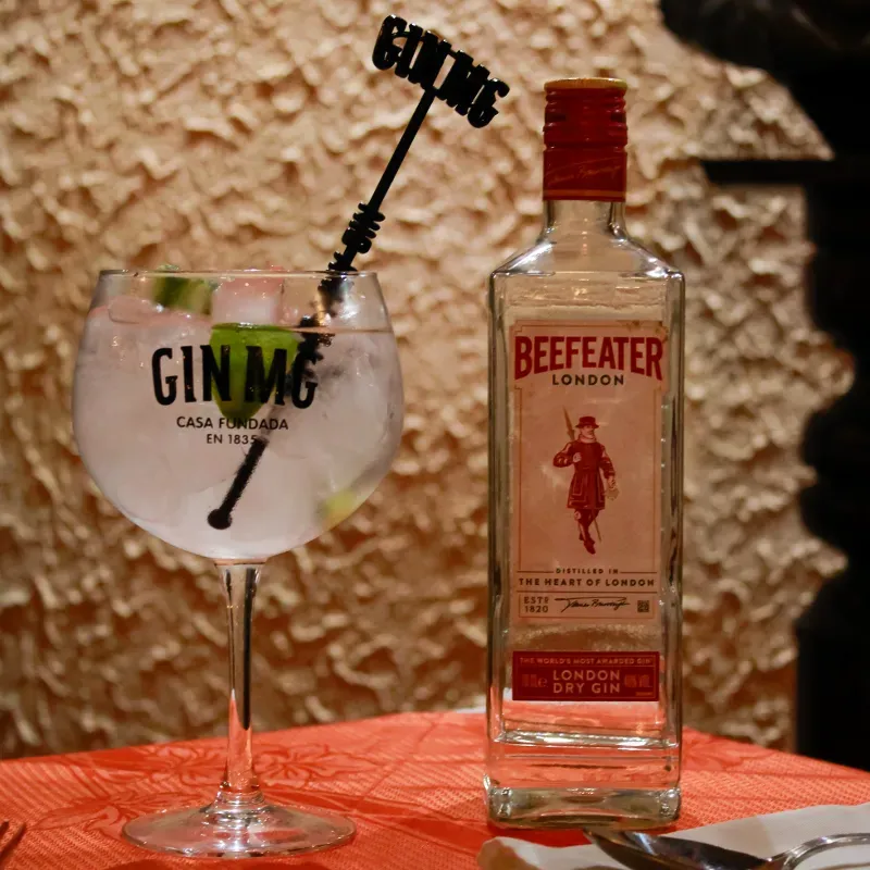Gin Tonic (Beefeter)
