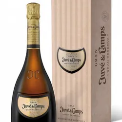 Gran Juvé y Camps Brut 2017