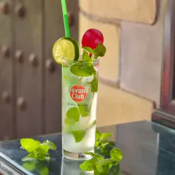 Mojito 