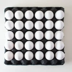 30 huevos grandes *Nuevos