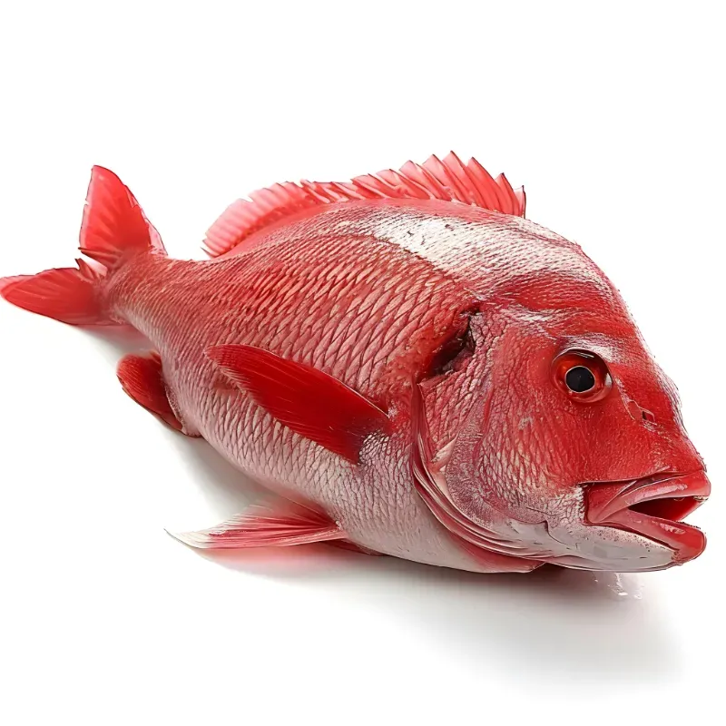 Pargos de Altamar Eviscerados Listos para Asar - 10.3 libras *Calidad Excepcional