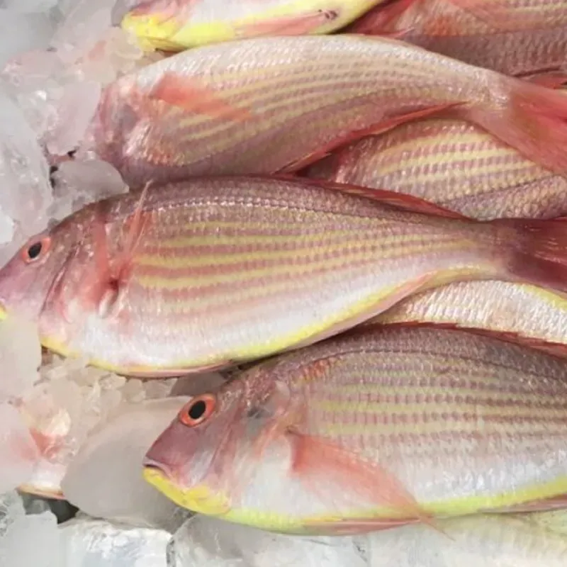 Pescado de Mar Entero y Limpio de Altamar - 7 libras  *Pargo del Alto