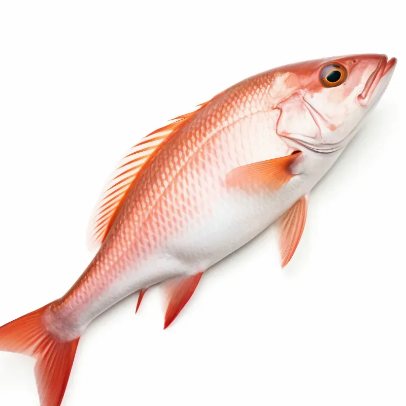 Pescado Entero de Mar - 6 libras *Limpio (Pargos, Jureles y Sierra)