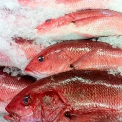Pescado Entero de Mar Limpio - 6.5 Libras *Pargo del Alto