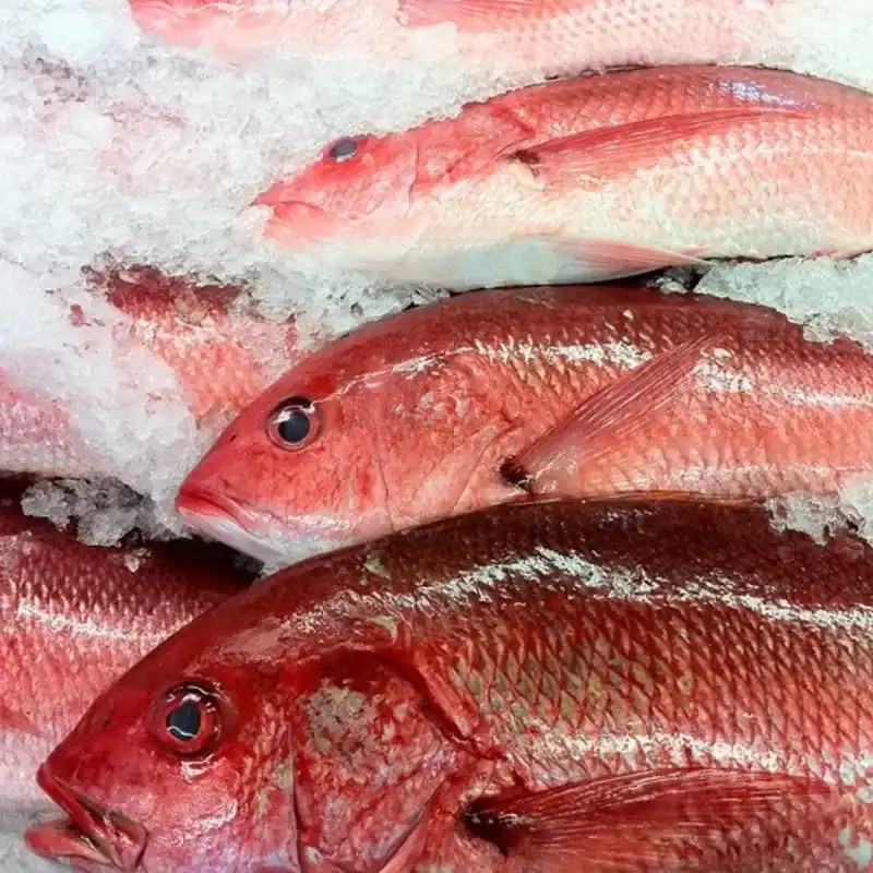 Pescado Entero de Mar Limpio - 6.5 Libras *Pargo del Alto