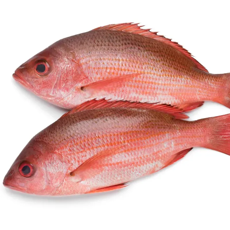 Pescado Entero Pargo de Altamar Listo para Asar - 6.5 libras *Producto de Calidad Premium