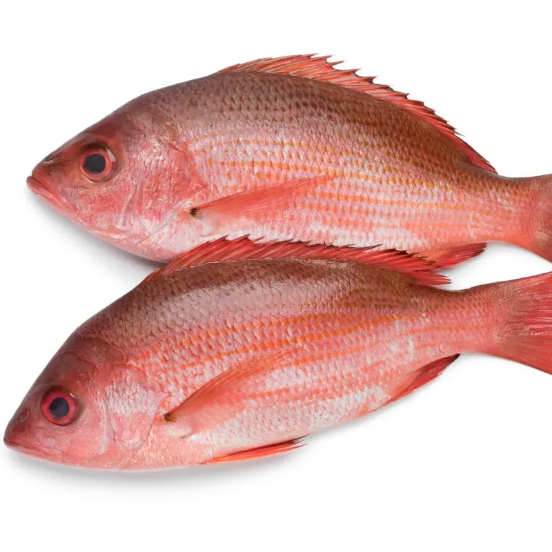 Pescado Entero Pargo Listo para Asar - 7.5 libras *La Mejor Especie de Pargo
