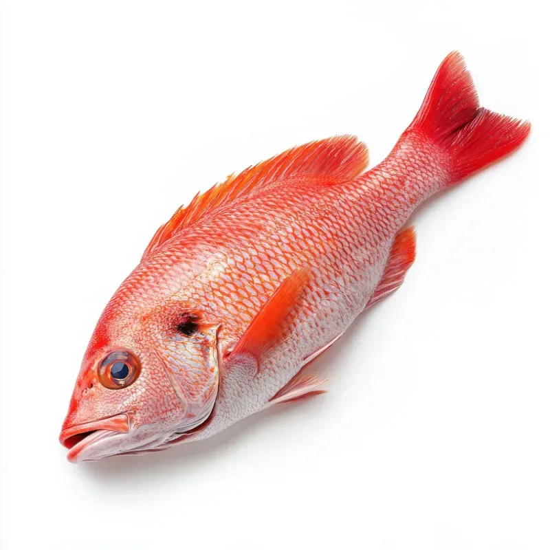 Pescado Limpio y Fresco de Altamar - 8.5 libras *Nuevo Producto