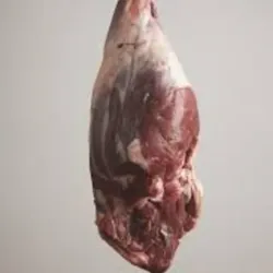 Pierna Trasera de Ovejo Limpia - 7 libras *Nuevo Producto