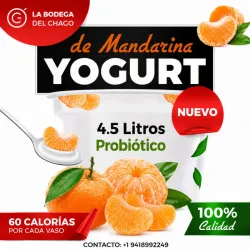 Yogurt Probiótico de Mandarina - 4.5 litros *Nuevo y Exquisito