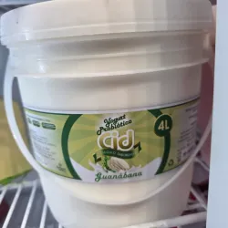 Yogurt Cid 4litros