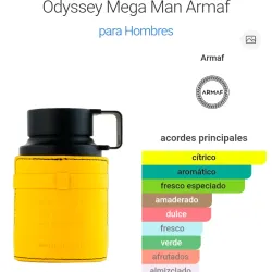 Odyssey Mega Man