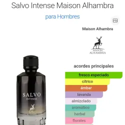 Salvo Intense