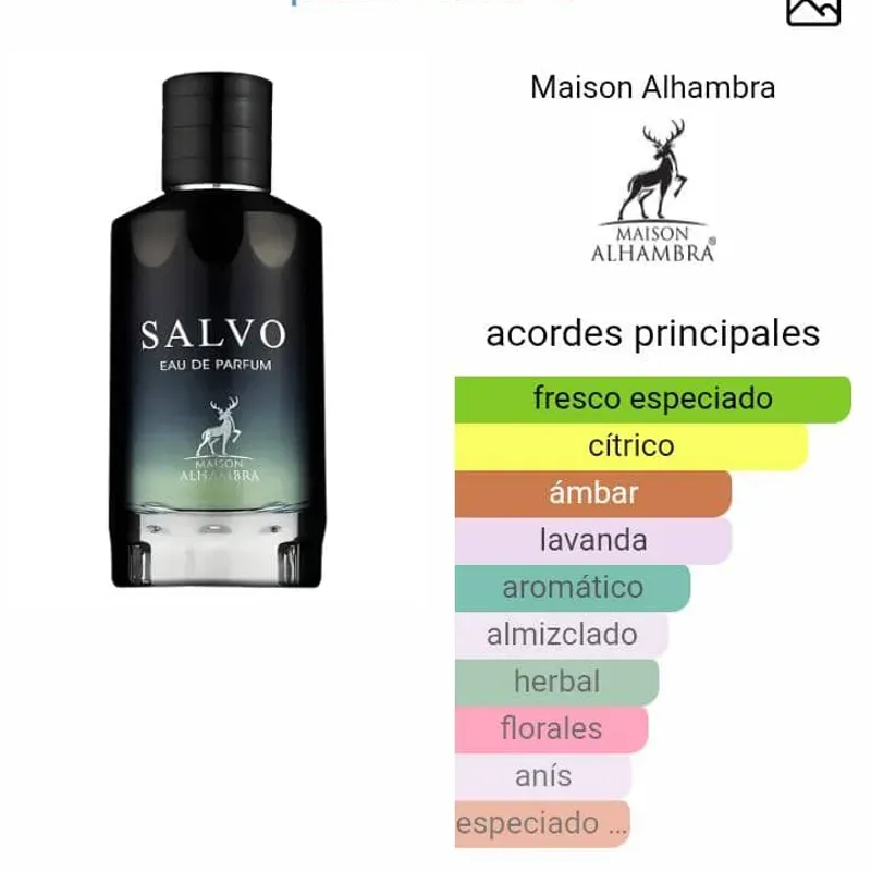 Salvo