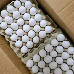Huevos 