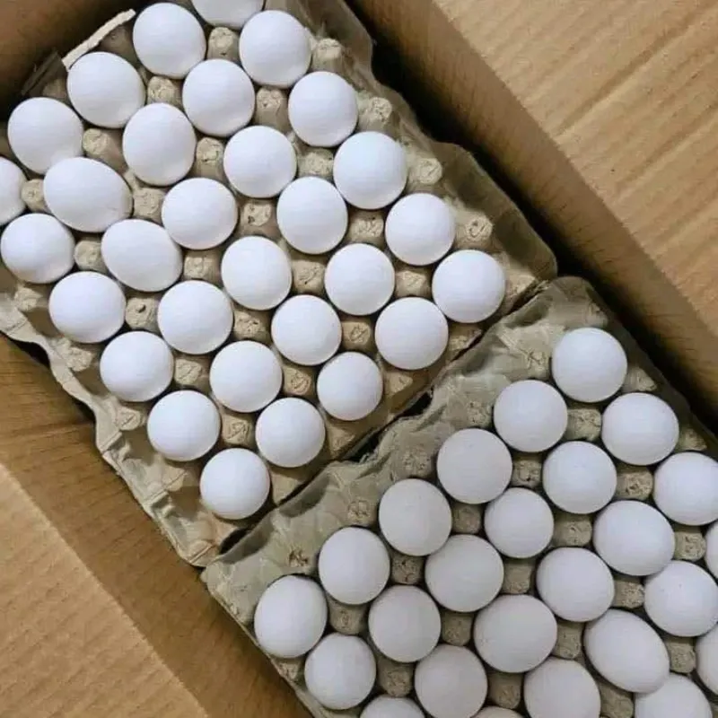 Huevos 